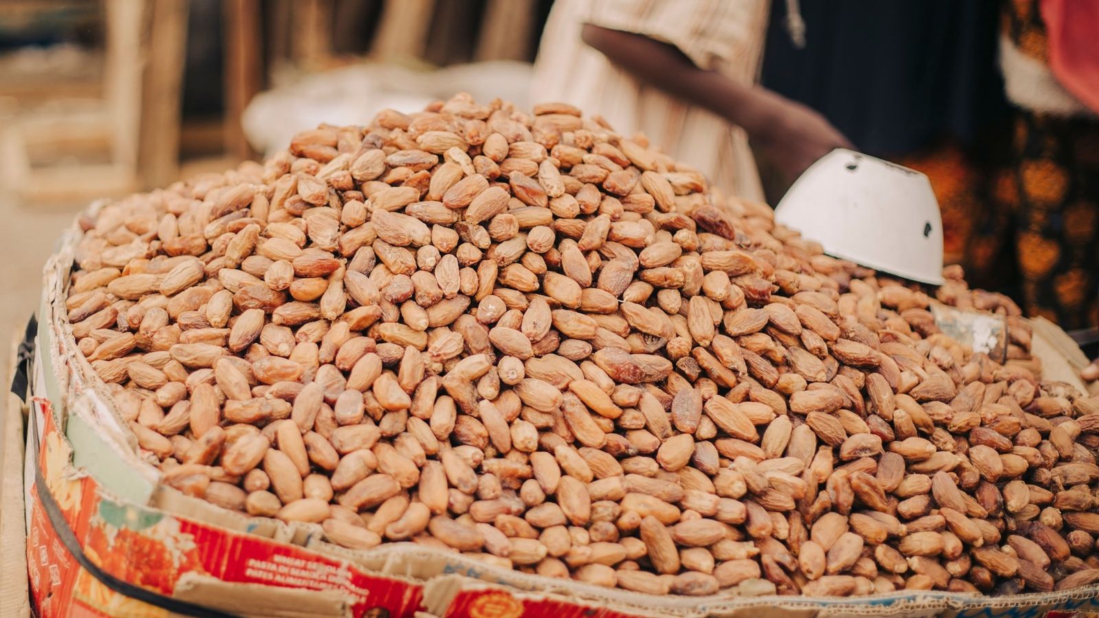Export cargo from Kenya and East Africa with customs, documents and freight handled clearly.